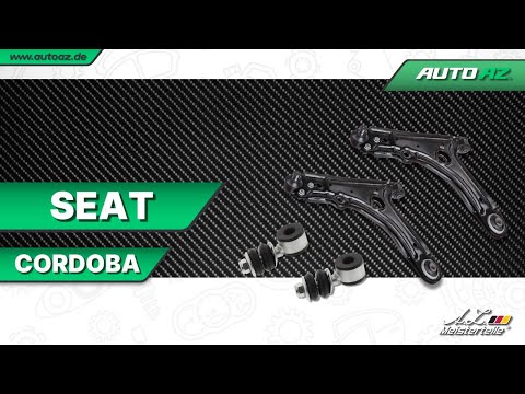 Seat Cordoba - Schwingarmwechsel