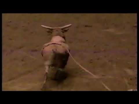 Red Wasp bucks Owen Washburn - 97 PBR Ft. Worth