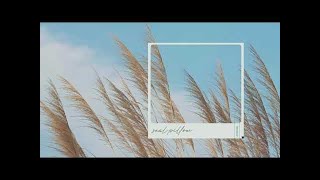 ไม่อาจอธิบาย – Seal Pillow