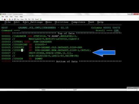 04 07 IEBGENER  File Examples