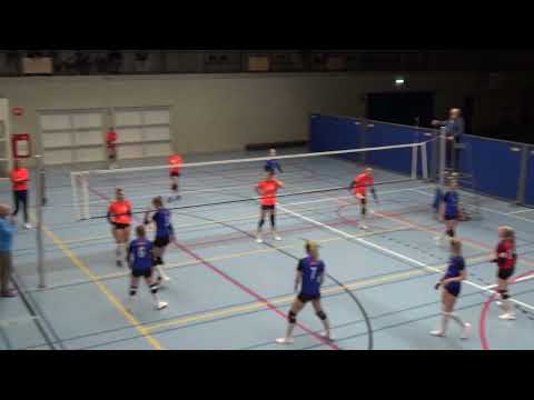 Lutheria D1 - Seesing Flex Longa'59 D2