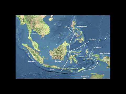 Ecological Opportunity and Adaptive Radiation of Fanged Frogs in Southeast Asia