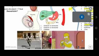 7.1Transtornos relacionados con las sustancias