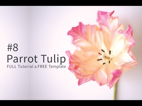[FREE PDF TEMPLATE] #8.Parrot tulips│how to make crepe paper flowers │패럿튤립만들기 주름지꽃 solelyworks