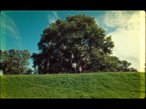 DILLOM - Ciudad de la Paz (Visualizer)