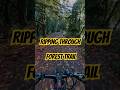 Ripping Through Forest Trail On A Bike With Techno ️ Trailride Schranz Pumpitup Techno