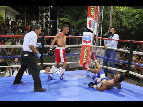 Hector El Puma Torrez VS David Hernandez 14 De Marzo 2020.