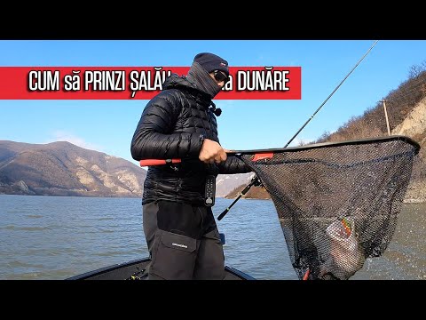CUM sa PRINZI SALAU IARNA la DUNARE? In 2023...