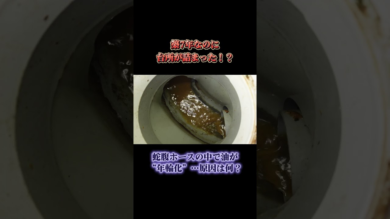 【スパッと解決】築7年なのに台所が詰まった！？蛇腹ホースの中で油が“年輪化”…原因は何？ #shorts