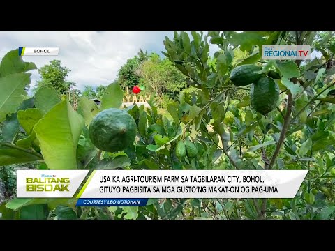 Balitang Bisdak: Agri-tourism farm sa Bohol, gidagsa