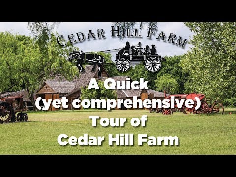 download lagu mp3 mp4 Cedar Hill Farm Wedding, download lagu Cedar Hill Farm Wedding gratis, unduh video klip Cedar Hill Farm Wedding