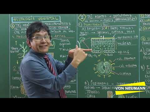Biología | 6. Histología Vegetal, Teoría 1