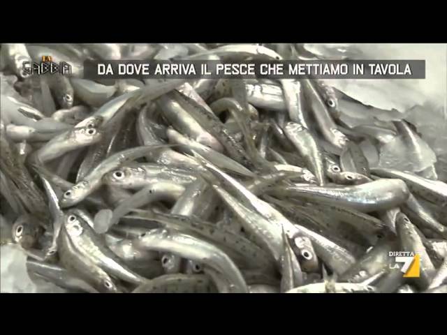 Da dove arriva il pesce che mettiamo in tavola