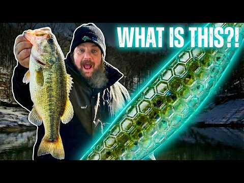 Cold Water Bass Fishing Just Got Easier with This Bait
