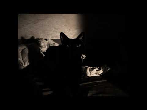 Plastic Heart - Nostalghia (Acoustic Cover)