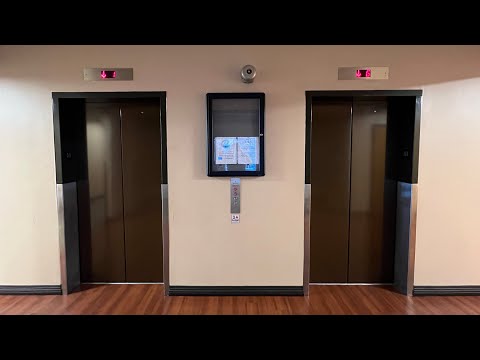 Modernized Westinghouse (LINS) Elevators - Parkway Center 3 - Pittsburgh, PA