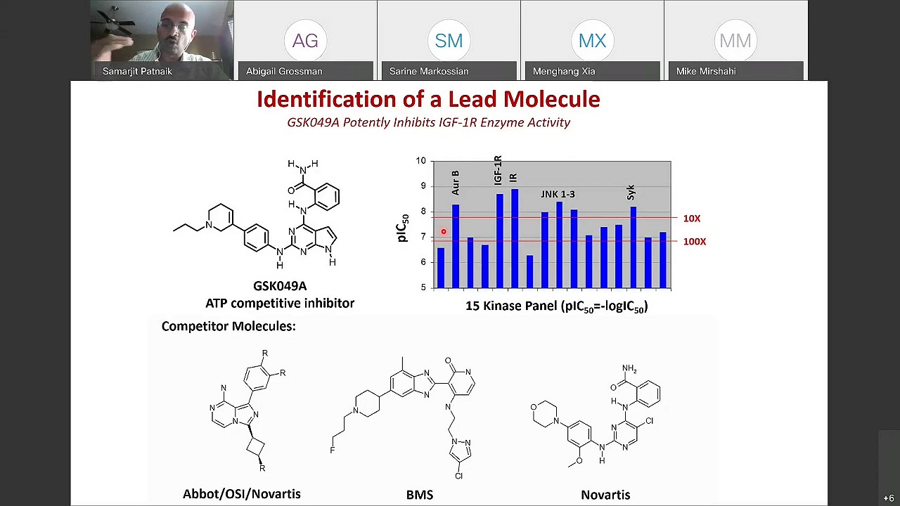 Lead Selection and Optimization by Medicinal Chemistry