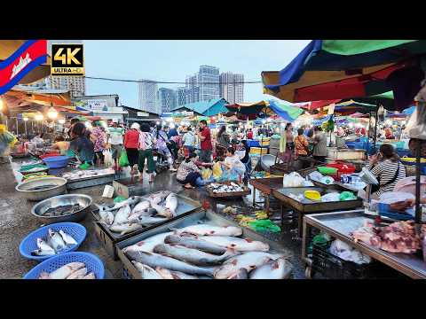This Is Real Market Life in CAMBODIA 🇰🇭 | Fresh Fish Every Morning