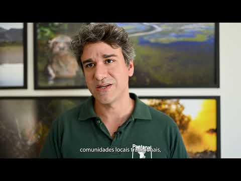 Caminhos das Nascentes: Restauração Ambiental na Bacia do Taquari | SOS Pantanal | Paxá Filmes