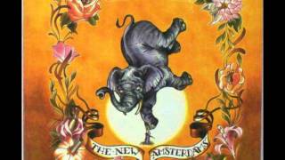 The New Amsterdams - Fortunate Fool