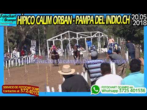 POTRANCA RAULITO   Pampa del Indio, CH   20 05 2018