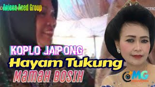 Download lagu Koplo Jaipong Kendang Rampak Hayam Tukung I Anissa Aced Group I Mg Studio Multimedia mp3