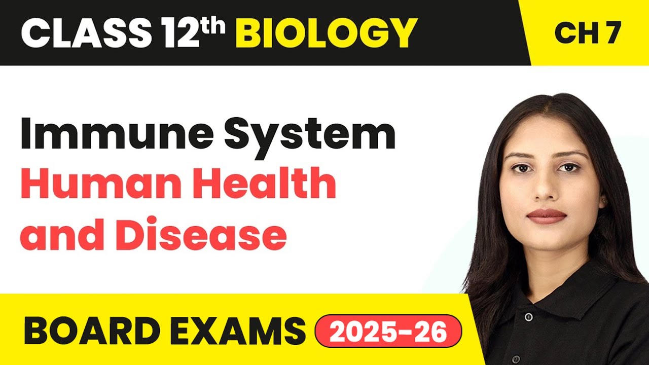 Immune System - Human Health and Disease | Class 12 Biology Chapter 7 | CBSE 2024-25