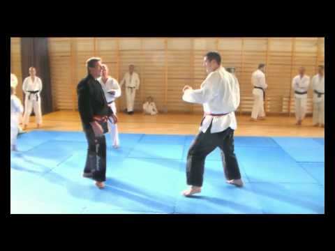 Maestro Silvano Rovigatti (Piero) Tecnica di atterramento da collo