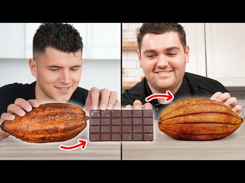 We Turned A Chocolate Bar Back Into A Cacao Pod