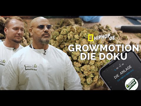 Massiv & GrowMotion: Cannabis Start-Up im Doku-Check