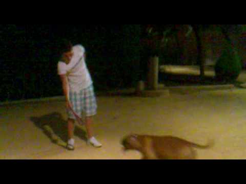 Toreando en Ciudad Real