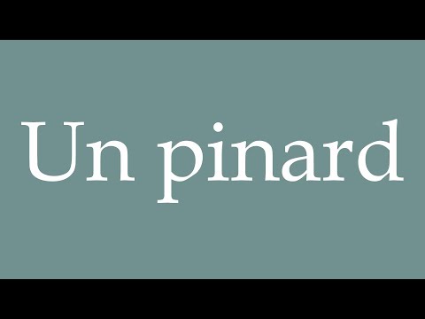 How to Pronounce ''Un pinard'' (A wine) Correctly in French