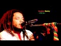 Stephen Marley - Fed Up - A=432hz