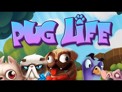 Pug Life gameplay video
