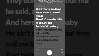 This is why we cant have nice things - Taylor swift #lyrics #fyp #taylorswift #spotify