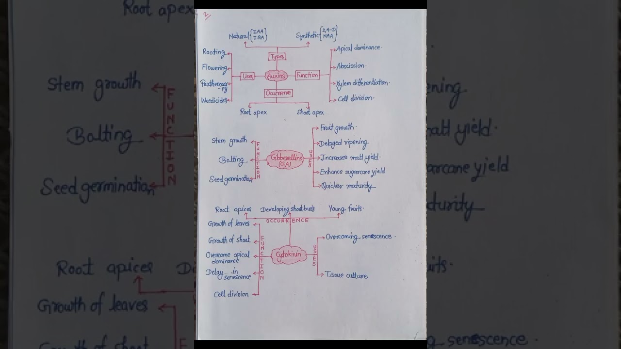 plant growth and development class 11/PGRs/physics affection/PA,#shorts