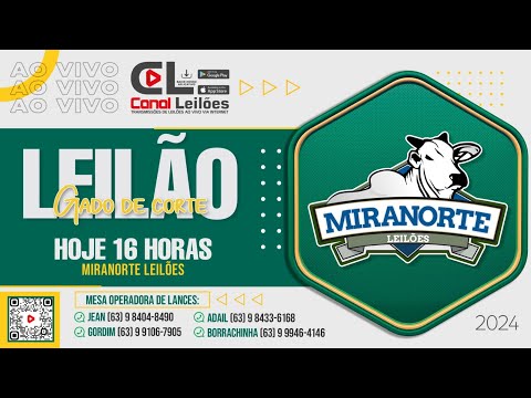 Canalleiloes.com | LEILÃO GADO DE CORTE MIRANORTE LEILÕES - 16/03/2024