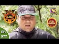 CID  - सीआईडी - Ep 977 -Jungle Mystery - Full Episode