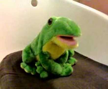 singing frog