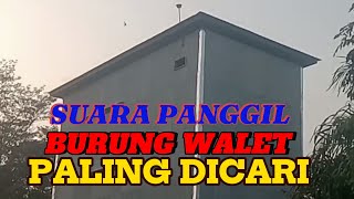 Download lagu SUARA PANGGIL BURUNG WALET PALING DICARI mp3 Download lagu SUARA PANGGIL BURUNG WALET PALING DICARI mp3