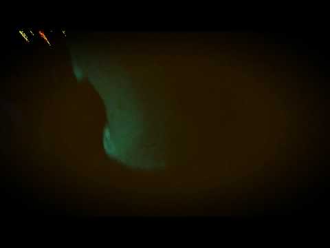 Esteban The Moor in Concert