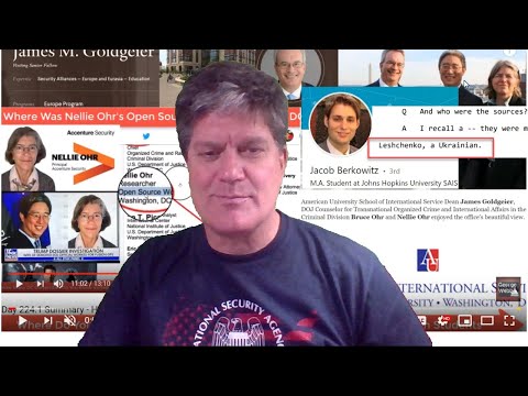 march-29th-2019--nellie-ohr39s-source-for-taking-down-trump-and-first-family--leschenko