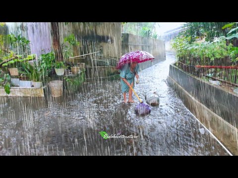 Heavy Rain in Beautiful Village Life | Walk In Heavy Rain | Rain Sounds For Sleep Therapy - ASMR