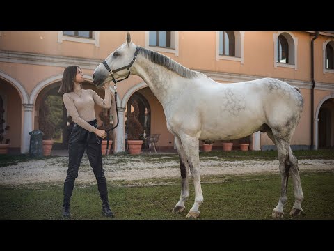 MY NEW HORSE HEARTBEAT 🖤 Welcome!!!