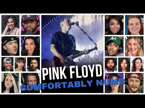 Pink Floyd - Comfortably Numb (Live Pulse) Reaction Compilation