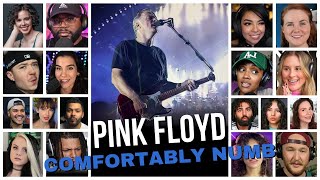 Pink Floyd - Comfortably Numb (Live Pulse) Reaction Compilation