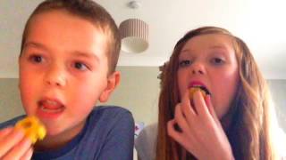 Do You Like Waffles? By Parry Gripp ( fan video )