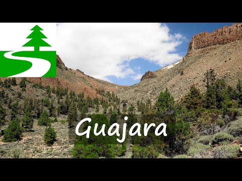 Guajara: alternative Wanderung auf Teneriffa