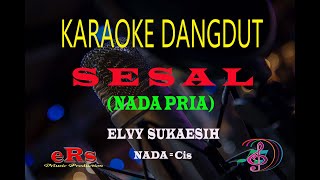 Download lagu Karaoke Sesal Nada Pria - Elvy Sukaesih (Karaoke Dangdut Tanpa Vocal) mp3