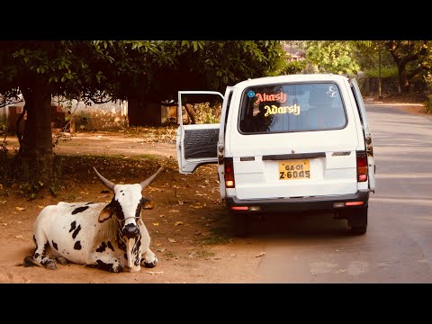 INDIA - ANJUNA BEACH, GOA
